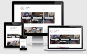 responsive website Fenes zadels